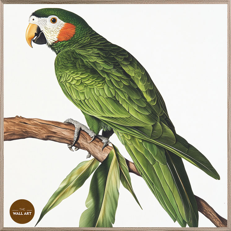 images/products/green_parrot_on_branch/green_parrot on branch_OAK_P.jpg